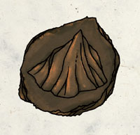 Geb.jpg