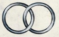 Berronar-argentica.jpg