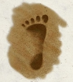 Brandobaris.jpg